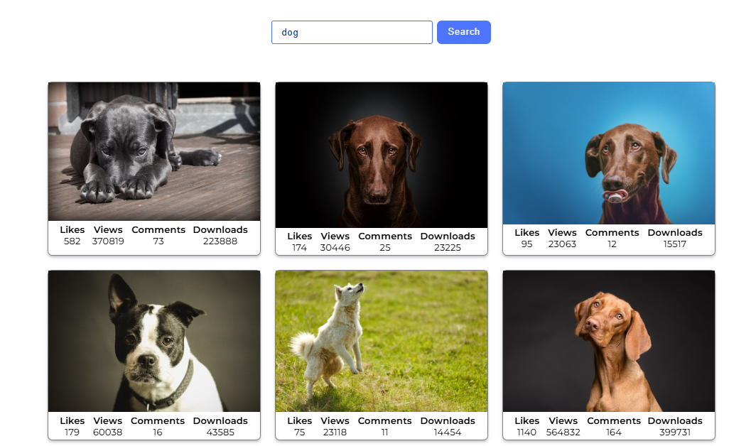 Image Search App